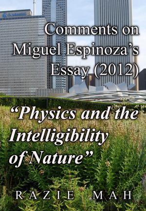 Cover of Comments on Miguel Espinoza's Essay (2012) "Physics and the Intelligibility of Nature"