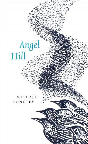 Cover of the book Angel Hill by Sarah J. Maas