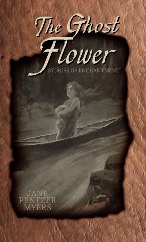 Cover of the book The Ghost Flower by Tim Belcher, K. J. Joyner