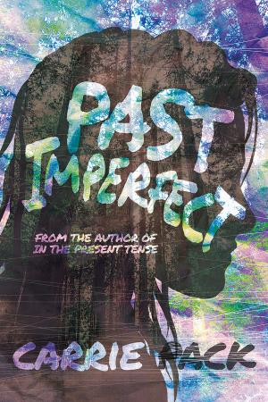 Cover of the book Past imperfect by Leigh Rachel Davidson