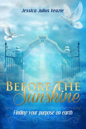 Book cover of Before The Sunshine