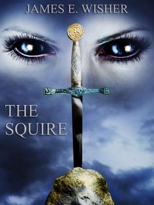 Book cover of The Squire