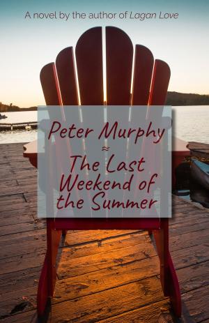 Book cover of The Last Weekend of the Summer