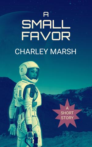bigCover of the book A Small Favor by 