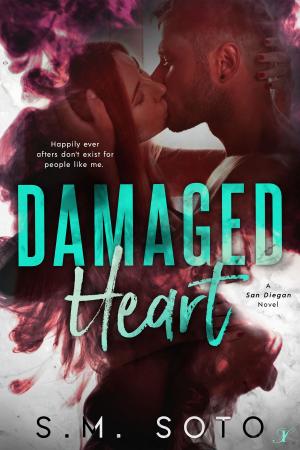 Cover of the book Damaged Heart by SM Soto