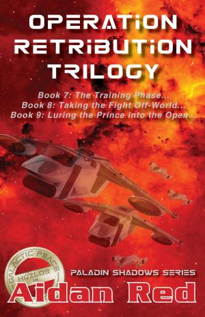 Book cover of Operation Retribution Trilogy