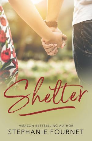 Cover of the book Shelter by Rachel VanDyken