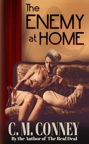 Cover of the book The Enemy at Home by Ashley Christine