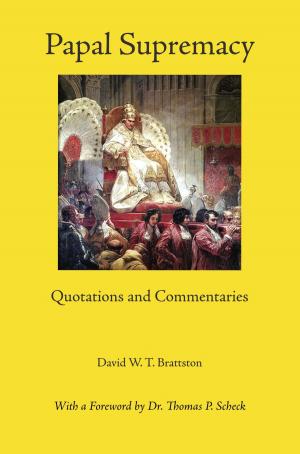 Cover of the book Papal Supremacy by David Brattston