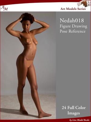 Cover of Art Models Nedah018