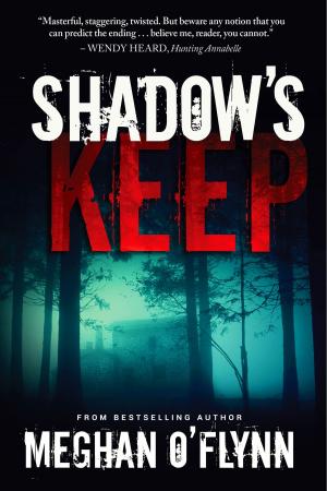 Book cover of Shadow's Keep