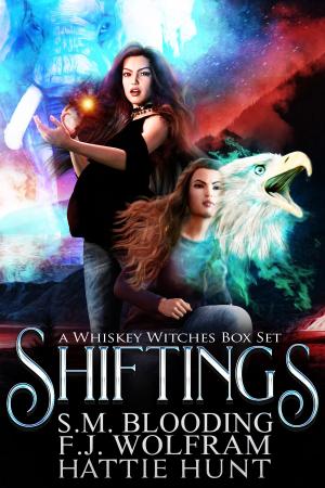 Cover of the book Shiftings by Jonathan Gould