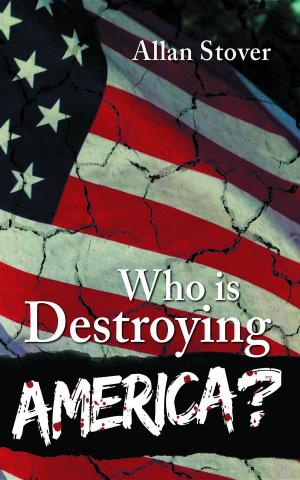 Cover of the book Who is Destroying America? by Higinio Fernández