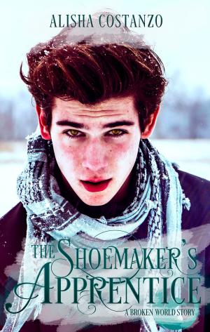 Book cover of The Shoemaker's Apprentice