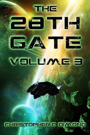 Book cover of The 28th Gate: Volume 3