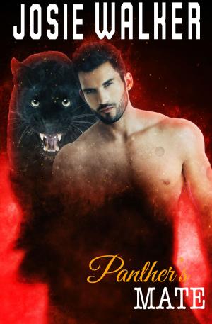 Cover of the book Panther’s Mate by Joanna Nadin, Andrew Smith