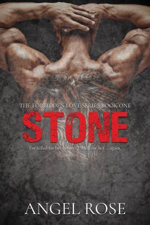 Cover of the book Stone by Lisa Colodny