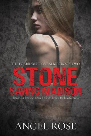 Cover of the book Stone by Michelle Areaux