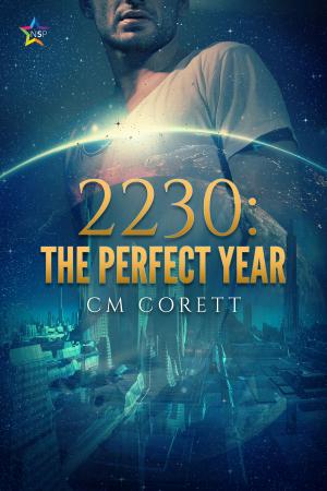 Cover of the book 2230: The Perfect Year by J.S. Fields