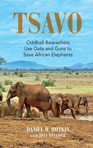 Cover of the book TSAVO by Amy Fernandez