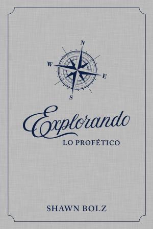 Book cover of Explorando lo Profético