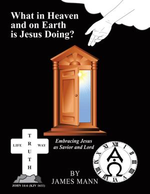 Cover of the book What in Heaven and on Earth Is Jesus Doing? by Mary Pappas