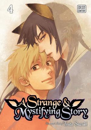 Book cover of A Strange and Mystifying Story, Vol. 4 (Yaoi Manga)