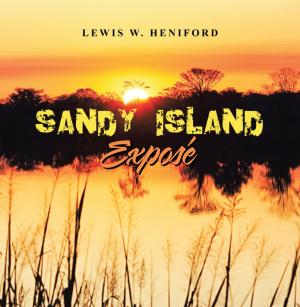 Cover of the book Sandy Island Exposé by Jason John Tyler