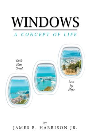 Cover of the book Windows by Preston Harper