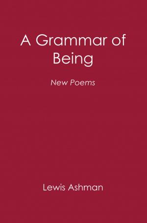 Cover of the book A Grammar of Being by Paul A. Keddy