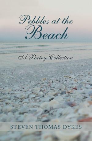 Book cover of Pebbles at the Beach