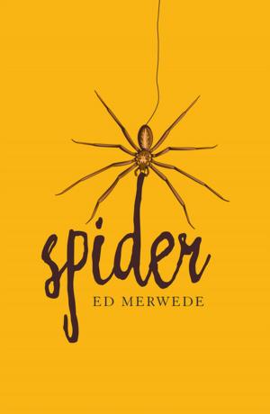Book cover of Spider