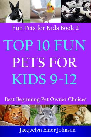 bigCover of the book Top 10 Fun Pets for Kids 9-12 by 