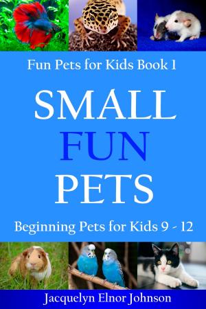 Cover of the book Small Fun Pets: Beginning Pets for Kids 9-12 by Mary Caelsto