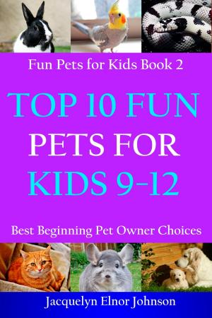 Cover of the book Top 10 Fun Pets for Kids 9-12 by James E. Potvin