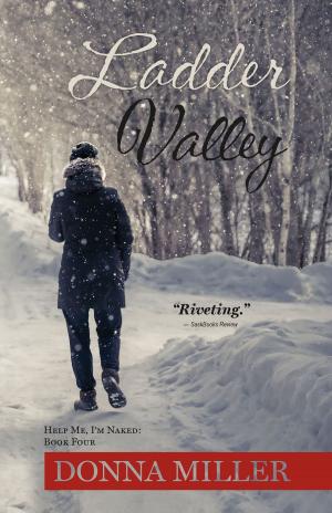 Book cover of Ladder Valley