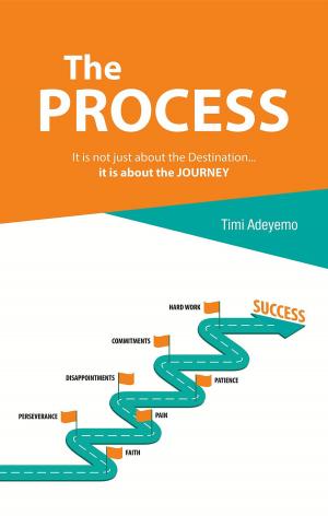 Cover of the book The Process by Adriaan Bekman