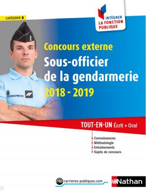Book cover of Concours externe Sous-officier de la gendarmerie- Catégorie B - Intégrer la fonction publique - 2018-2019