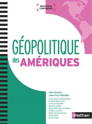 Book cover of Géopolitique des Amériques