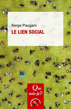 Cover of the book Le lien social by Samuel Lézé