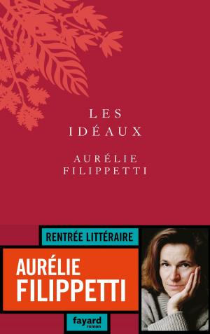 Cover of the book Les idéaux by Claire Castillon