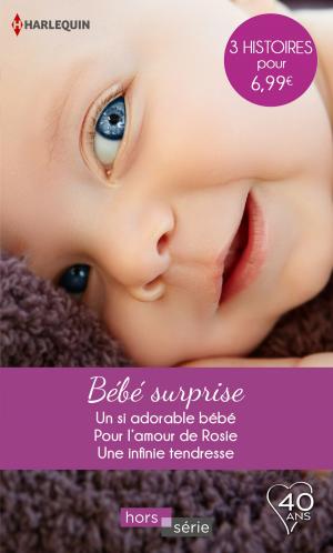 Book cover of Bébé surprise