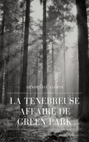 Cover of the book La Ténébreuse Affaire de Green-Park by Daniel Perret