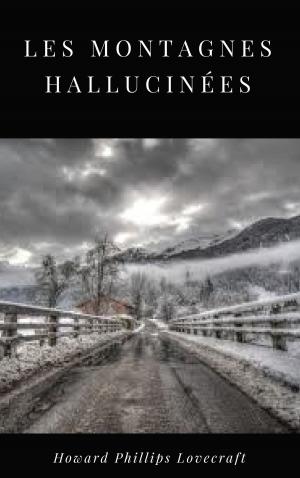 Cover of the book Les Montagnes Hallucinées by Stefan Pichel