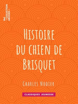 Book cover of Histoire du chien de Brisquet
