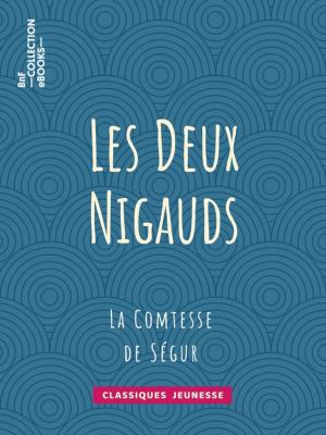 Cover of the book Les Deux Nigauds by Basil Hall, Amédée Pichot