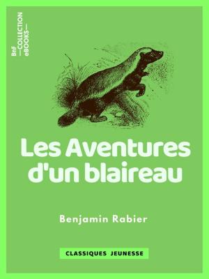 Cover of Les Aventures d'un blaireau by Benjamin Rabier, BnF collection ebooks
