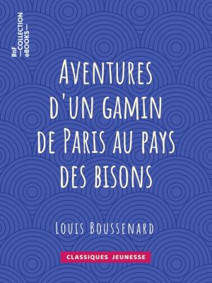 Cover of the book Aventures d'un gamin de Paris au pays des bisons by Alexandre Dumas