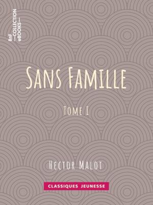 Cover of the book Sans famille by Delphine de Girardin
