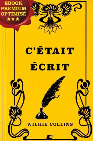 Cover of the book C'était écrit by Kellie May